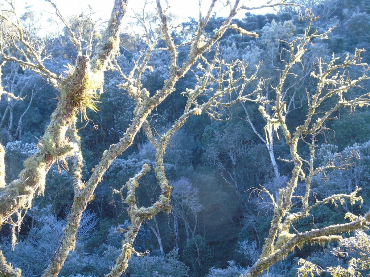 Refugio Monte Olimpo 4*