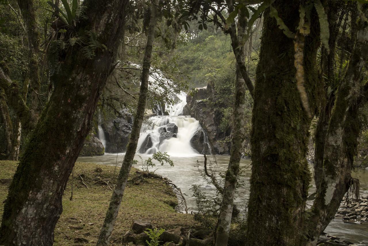 Hotel Refugio Monte Olimpo Campo Alegre (Santa Catarina)