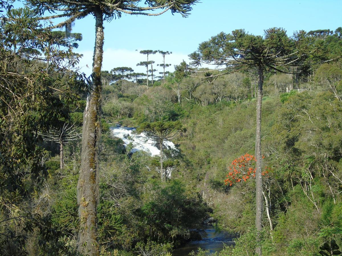 Refugio Monte Olimpo 4*