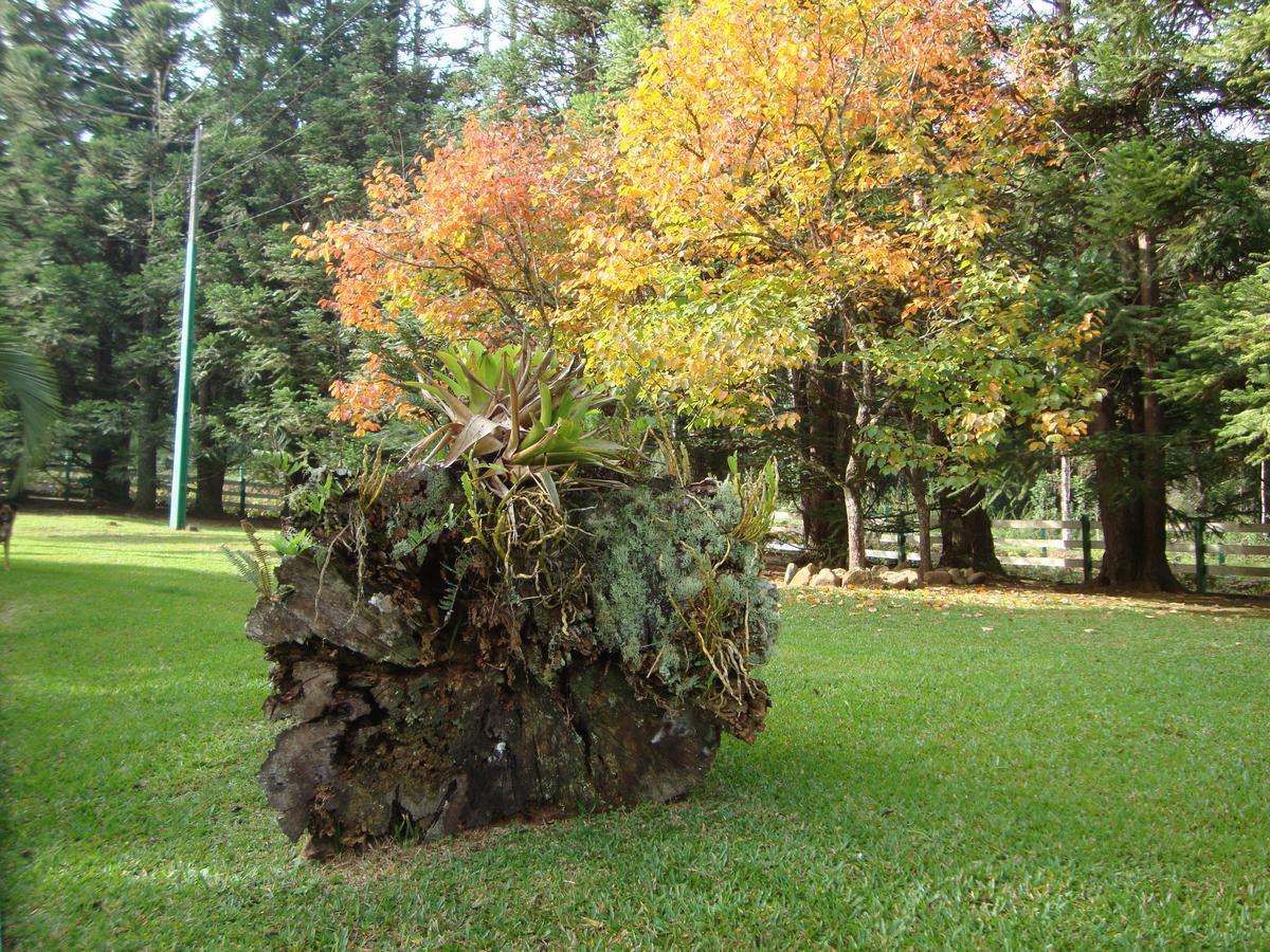 Refugio Monte Olimpo Hotel Campo Alegre (Santa Catarina)
